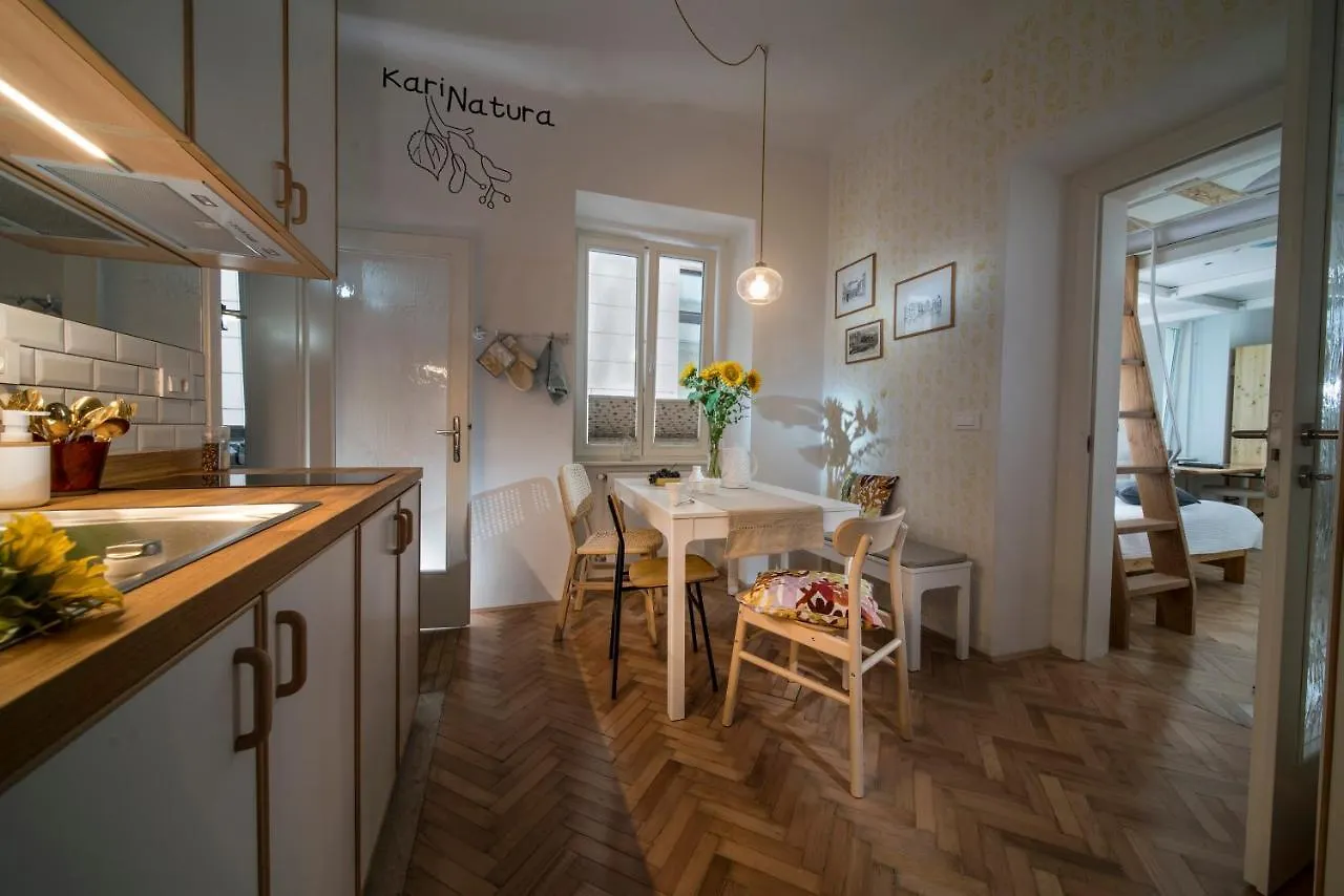 Karinatura Ljubljana